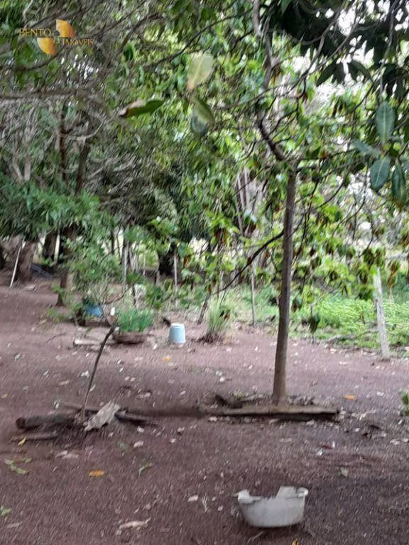Sítio de 40 ha em Nobres, MT