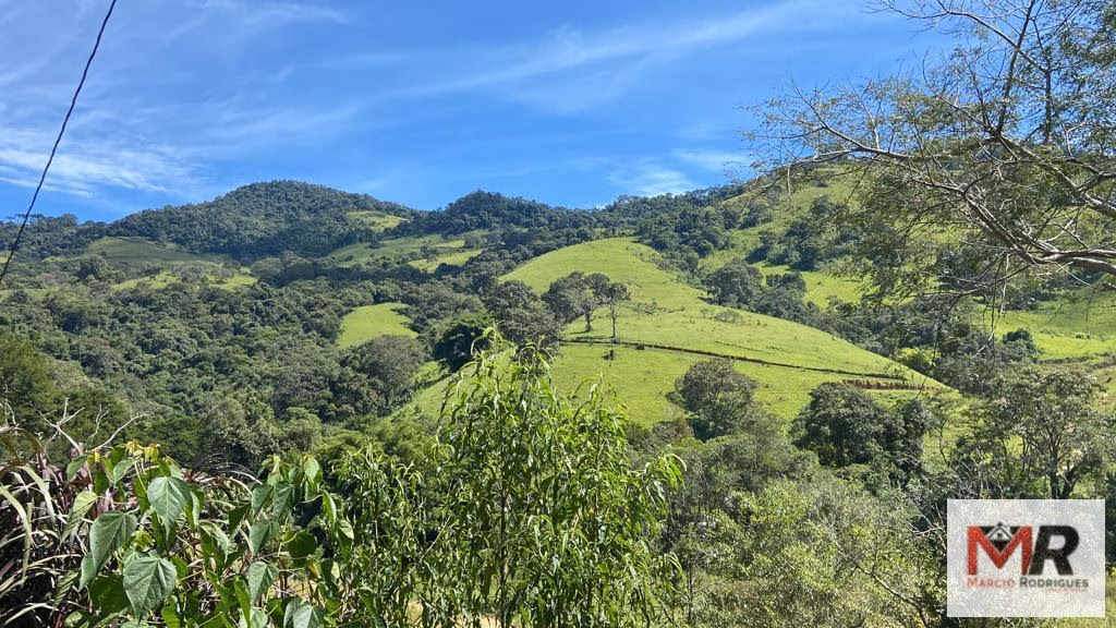 Terreno de 2 ha em Estiva, MG