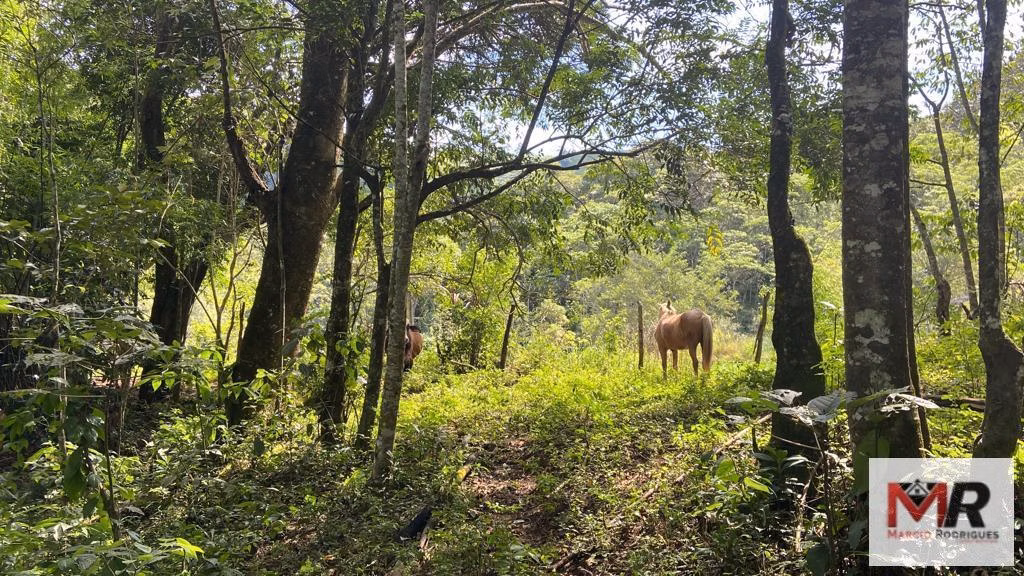 Terreno de 2 ha em Estiva, MG