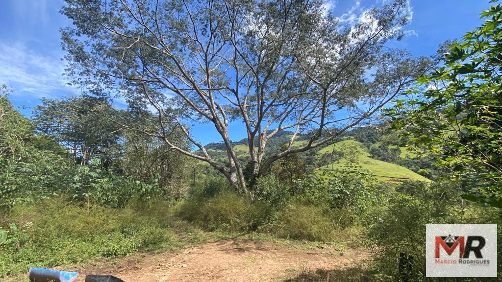 Terreno de 2 ha em Estiva, MG