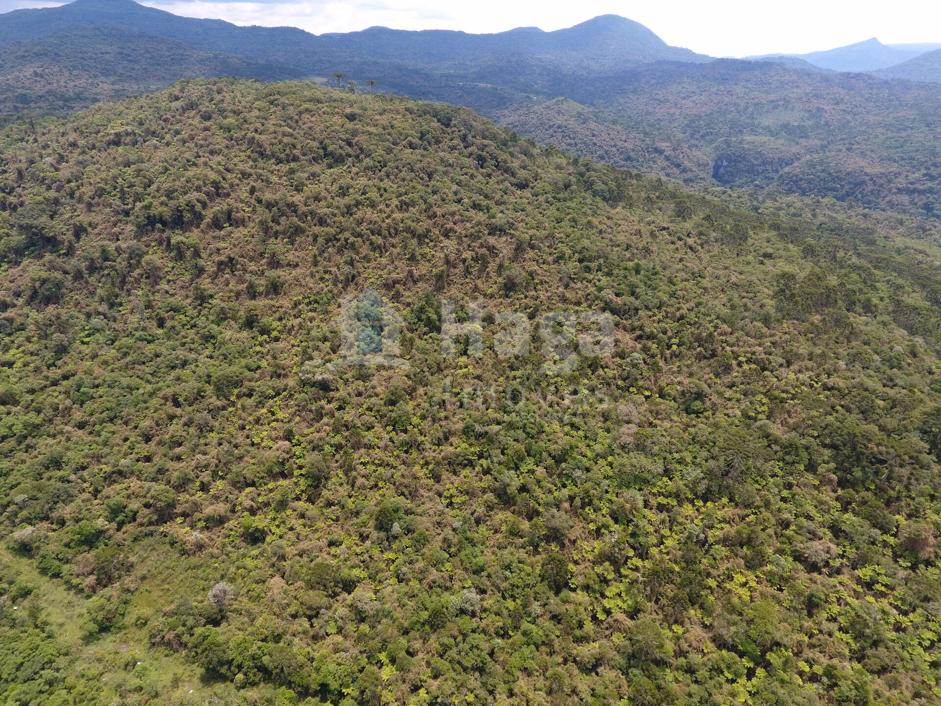 Terreno de 2 ha em Rio Rufino, SC