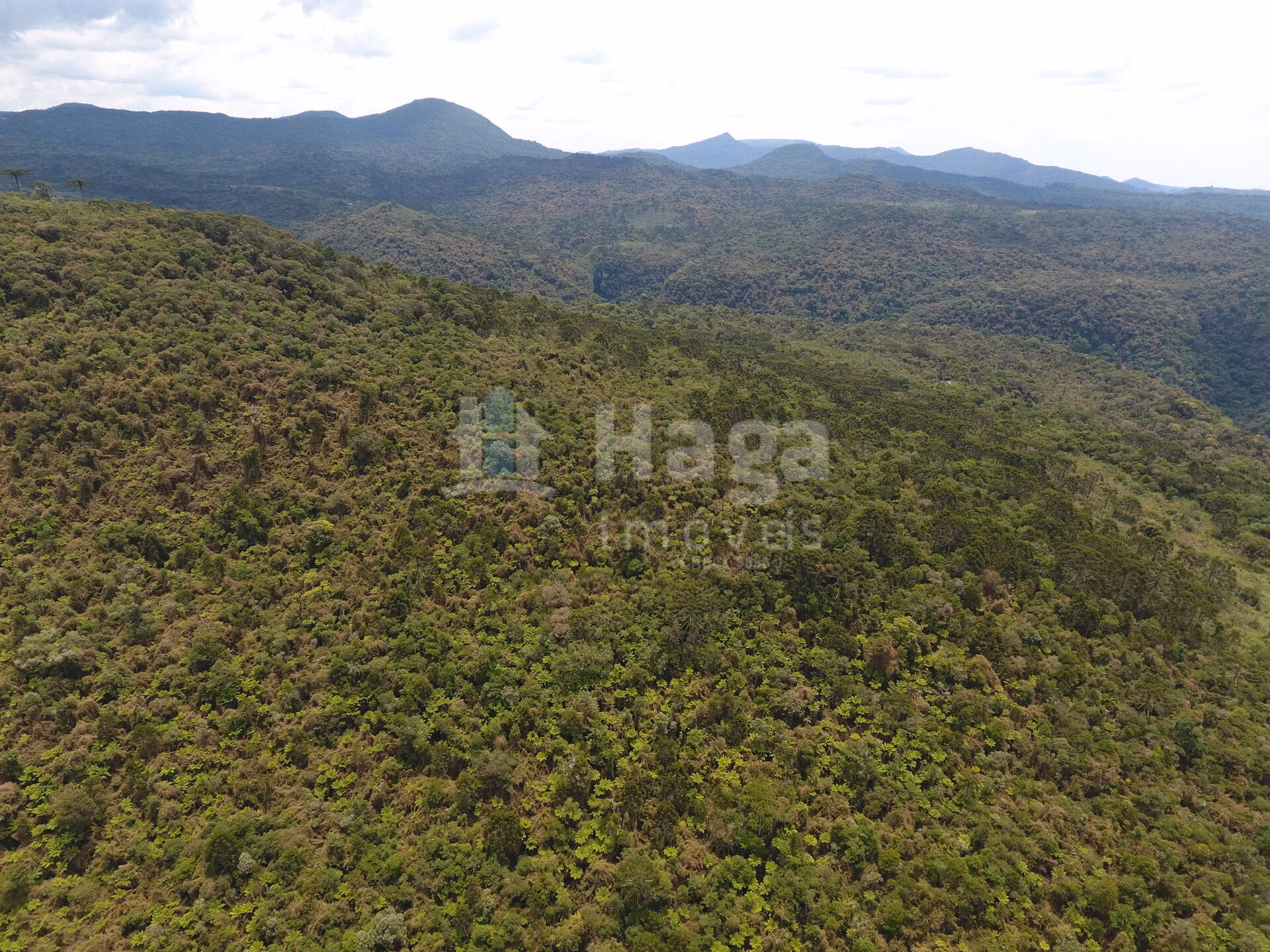 Terreno de 2 ha em Rio Rufino, SC