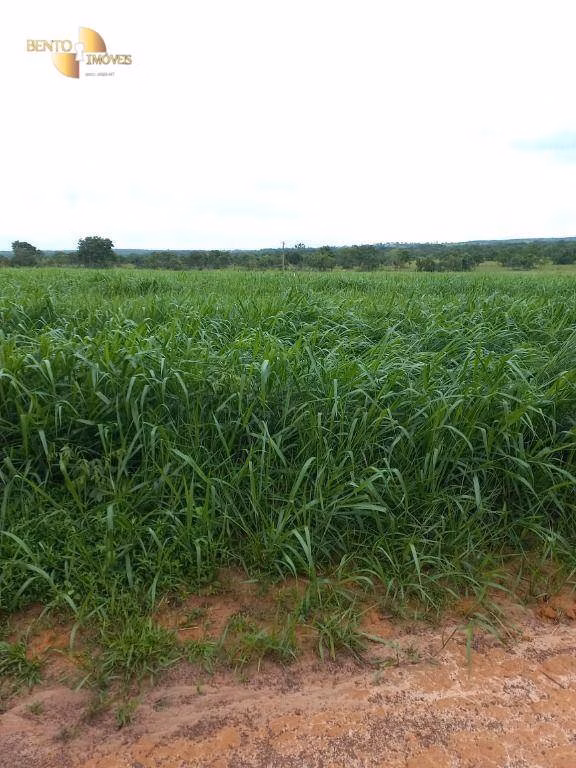 Farm of 2,224 acres in General Carneiro, MT, Brazil