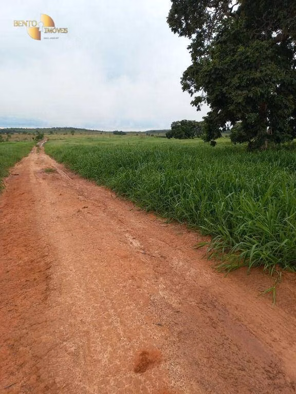 Farm of 2,224 acres in General Carneiro, MT, Brazil