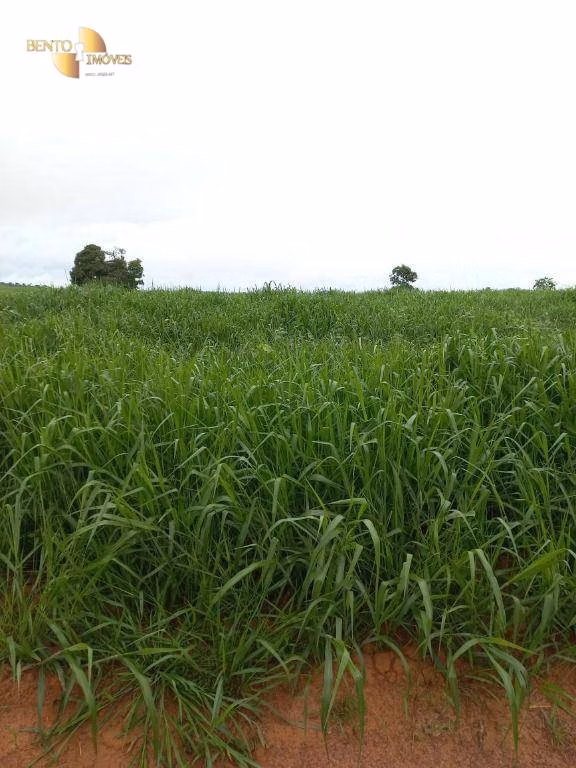 Farm of 2,224 acres in General Carneiro, MT, Brazil