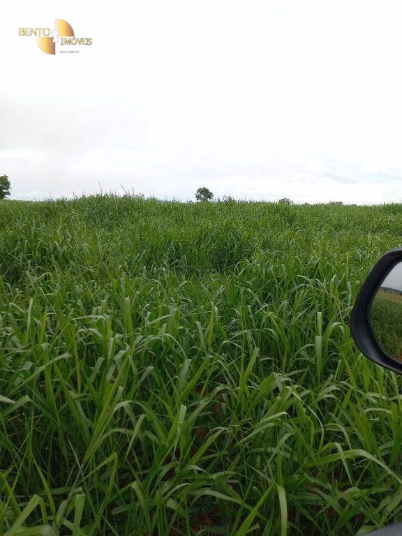 Farm of 2,224 acres in General Carneiro, MT, Brazil