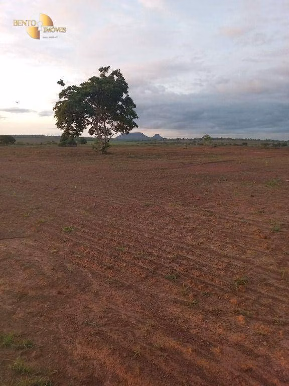Farm of 2,224 acres in General Carneiro, MT, Brazil