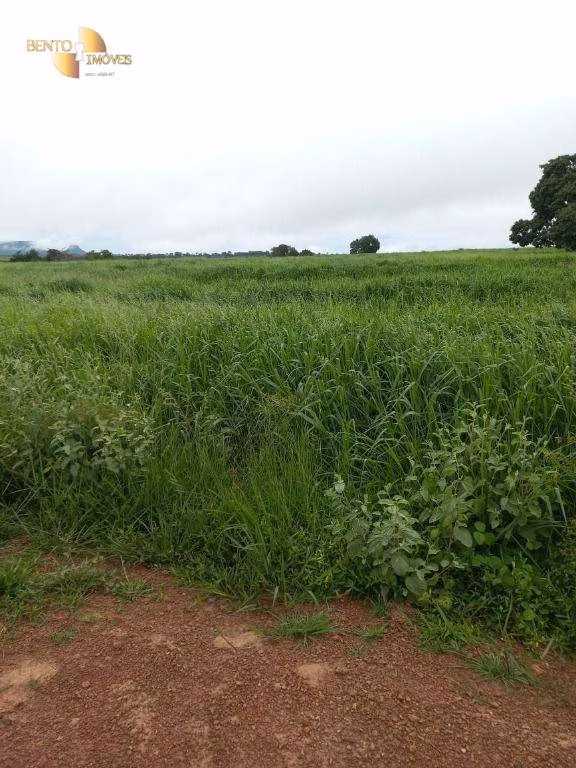 Farm of 2,224 acres in General Carneiro, MT, Brazil