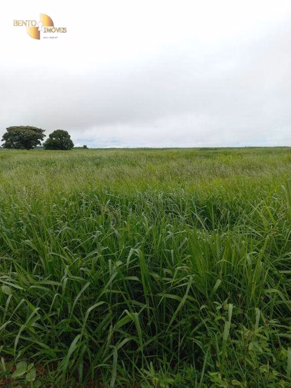 Farm of 2,224 acres in General Carneiro, MT, Brazil