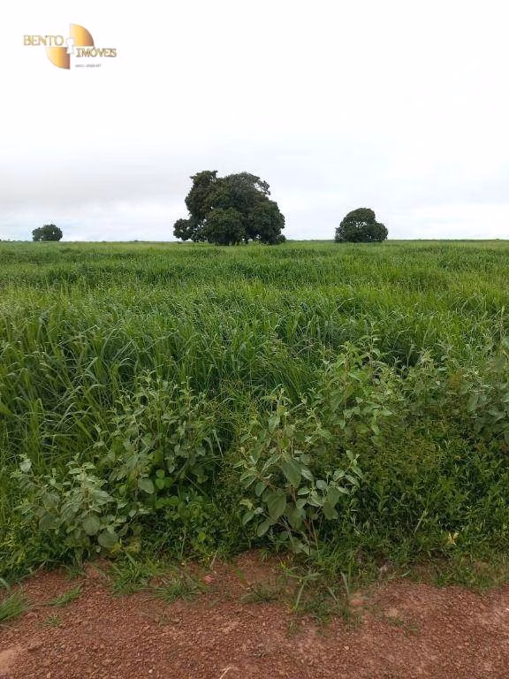 Farm of 2,224 acres in General Carneiro, MT, Brazil