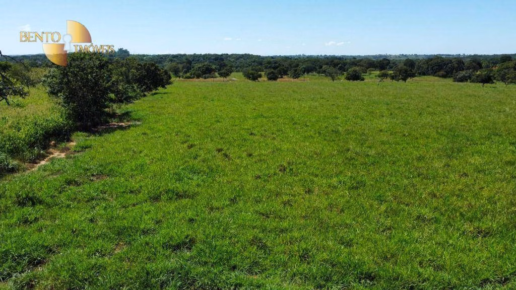 Farm of 1,100 acres in Jangada, MT, Brazil