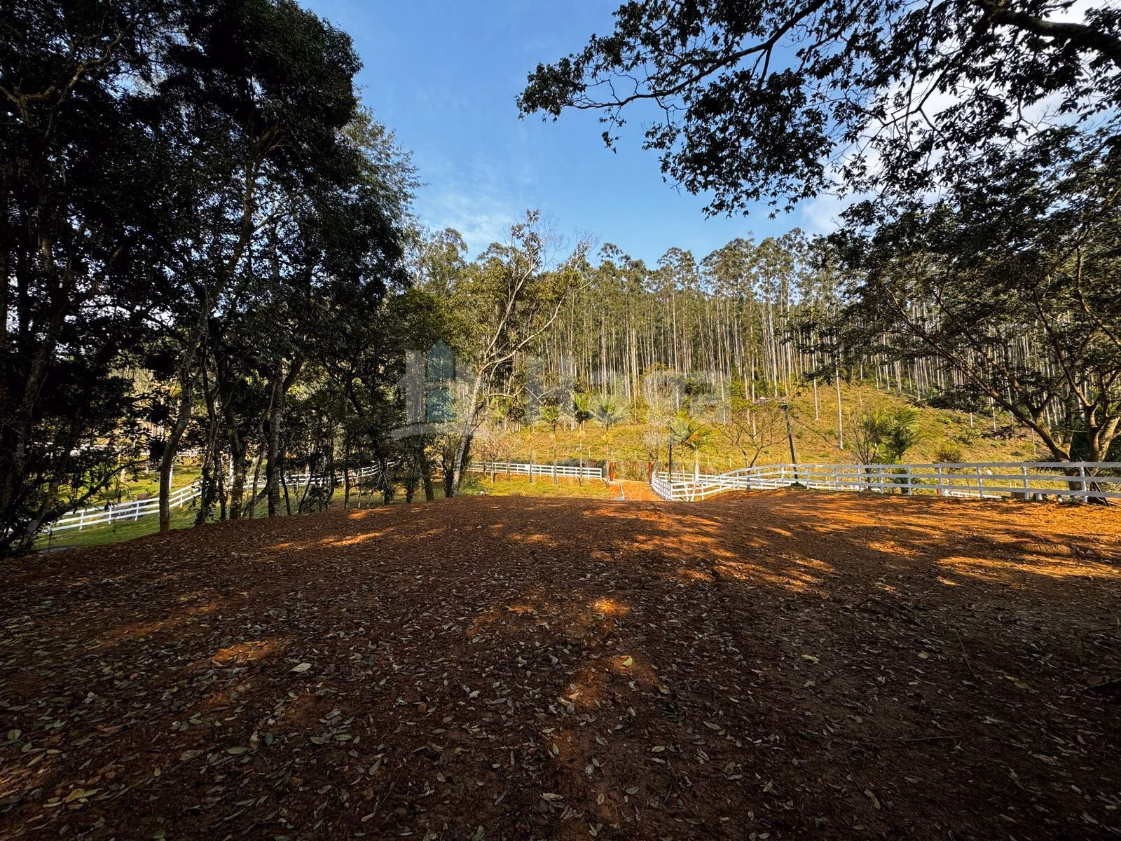 Fazenda de 8.044 m² em Canelinha, SC