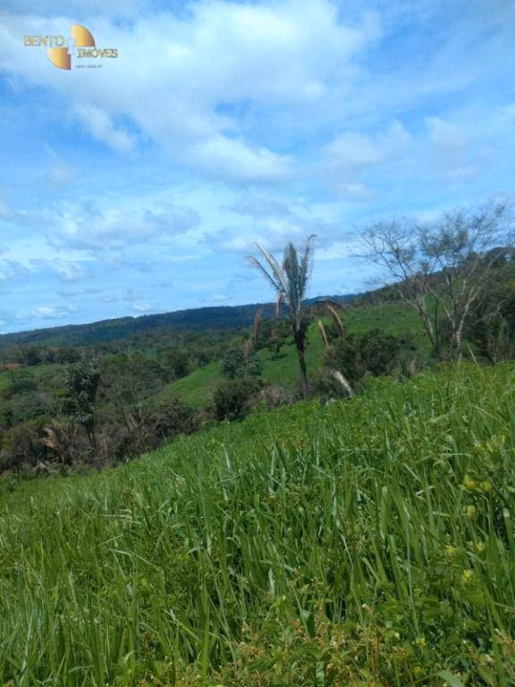 Farm of 1,606 acres in Poxoréu, MT, Brazil