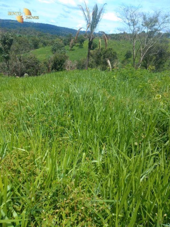 Farm of 1,606 acres in Poxoréu, MT, Brazil