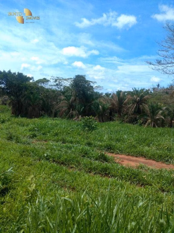 Farm of 1,606 acres in Poxoréu, MT, Brazil
