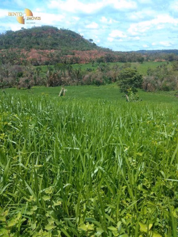Fazenda de 650 ha em Poxoréu, MT