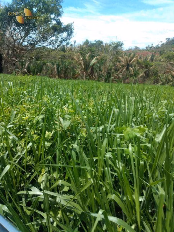 Farm of 1,606 acres in Poxoréu, MT, Brazil