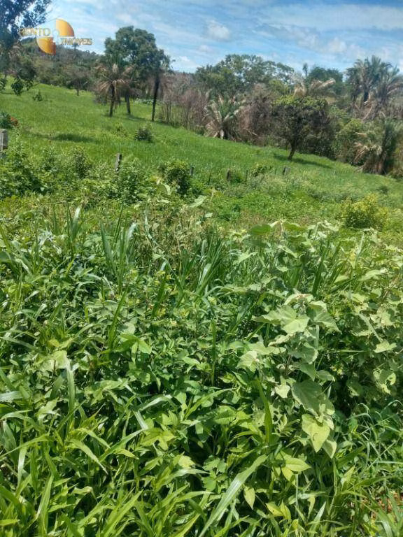 Farm of 1,606 acres in Poxoréu, MT, Brazil