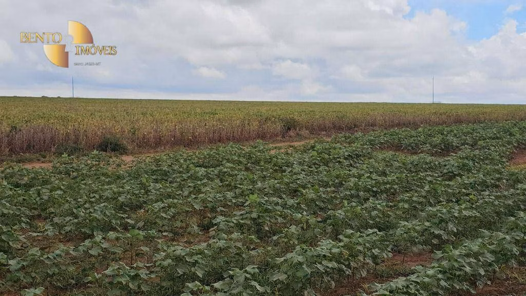 Fazenda de 728 ha em Nova Maringá, MT