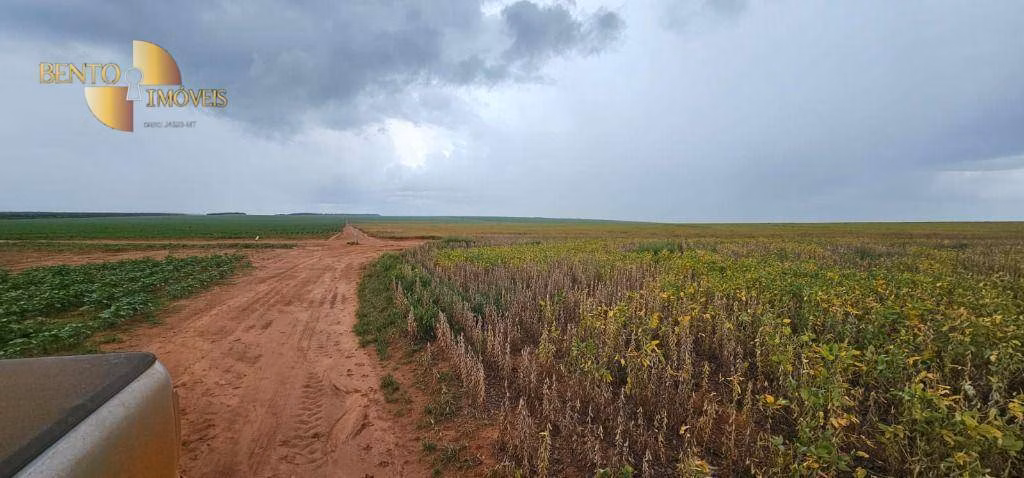 Fazenda de 728 ha em Nova Maringá, MT