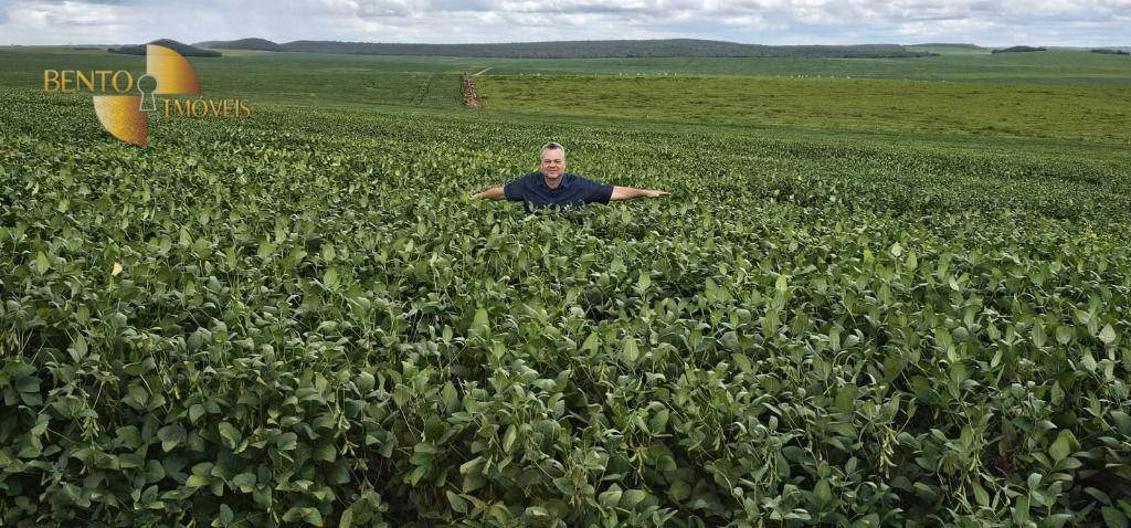 Fazenda de 728 ha em Nova Maringá, MT