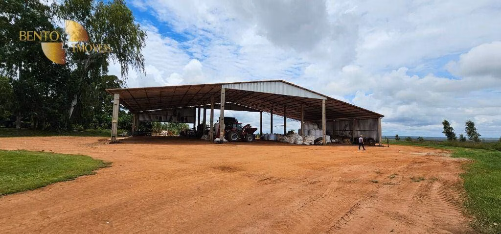 Fazenda de 728 ha em Nova Maringá, MT