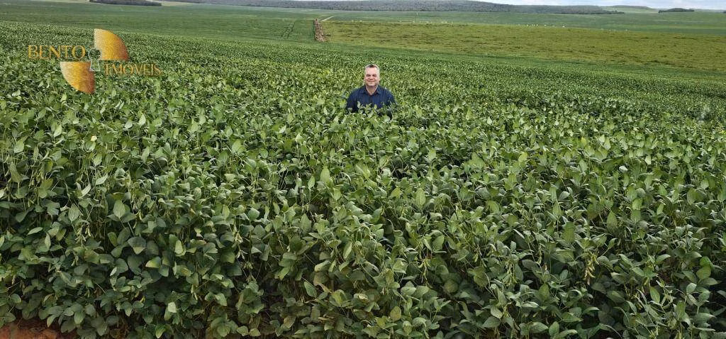Fazenda de 728 ha em Nova Maringá, MT