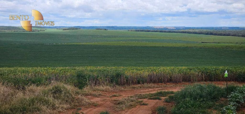 Fazenda de 728 ha em Nova Maringá, MT