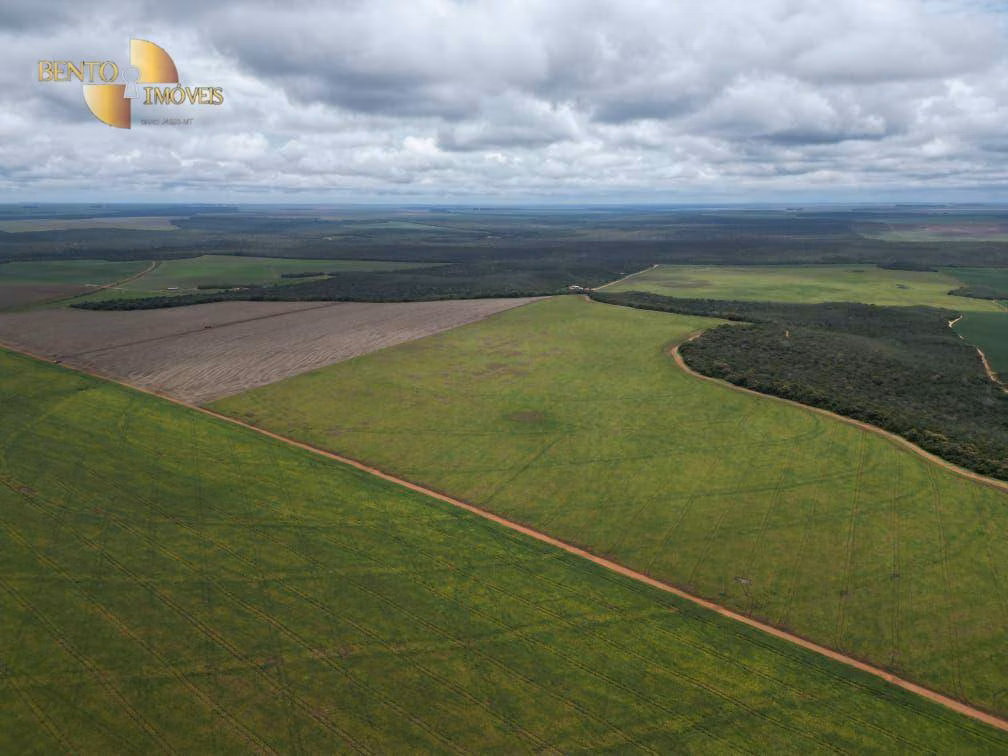 Fazenda de 728 ha em Nova Maringá, MT