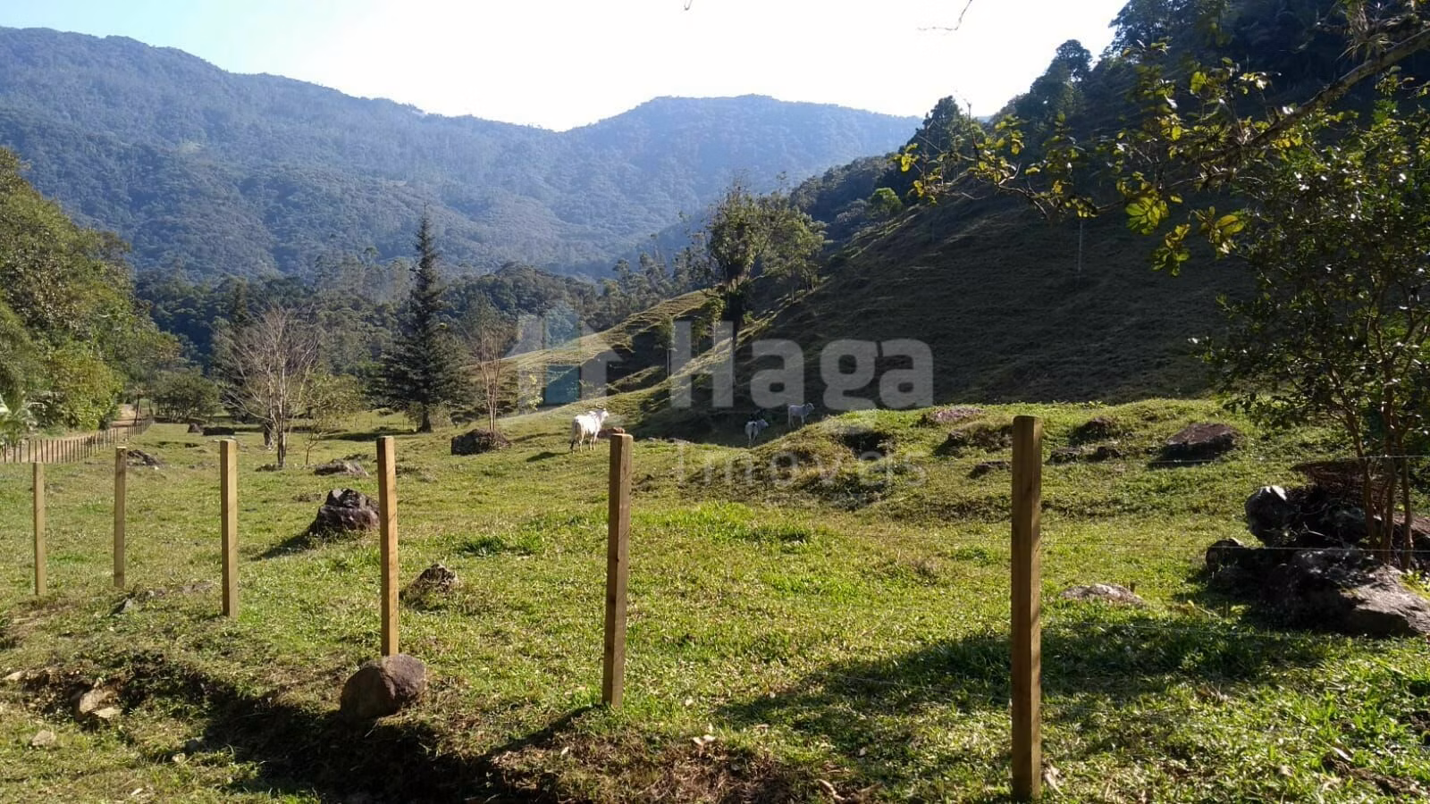 Chácara de 2 ha em Pomerode, SC