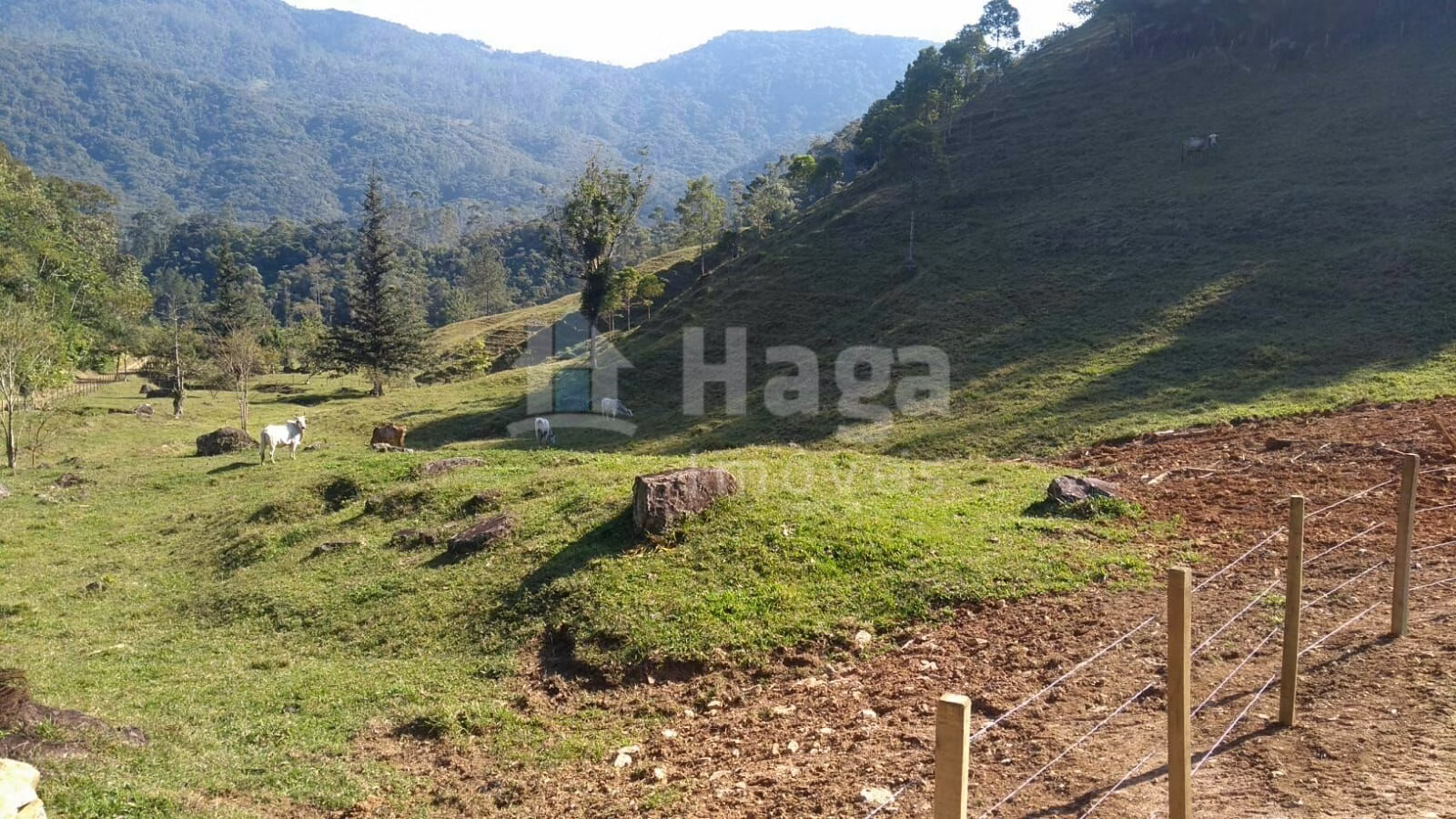 Chácara de 2 ha em Pomerode, SC