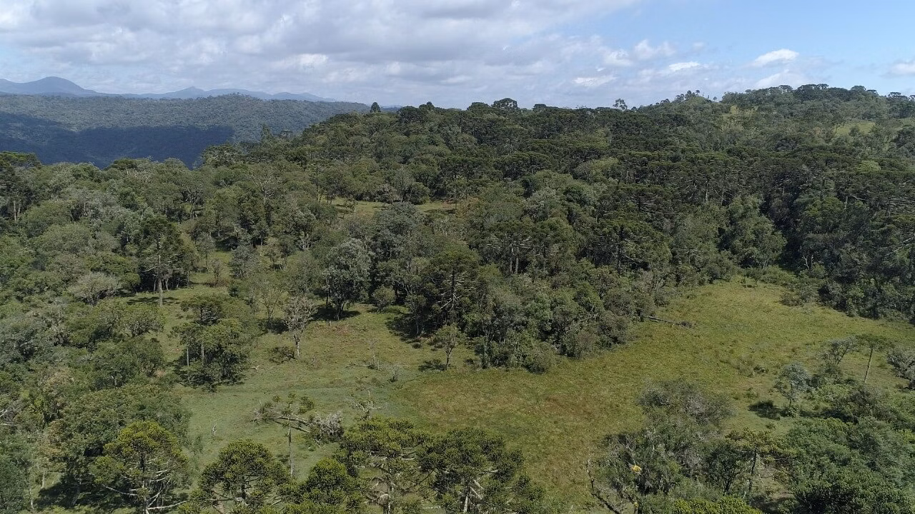Small farm of 51 acres in Urubici, SC, Brazil
