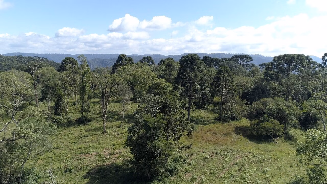 Small farm of 51 acres in Urubici, SC, Brazil