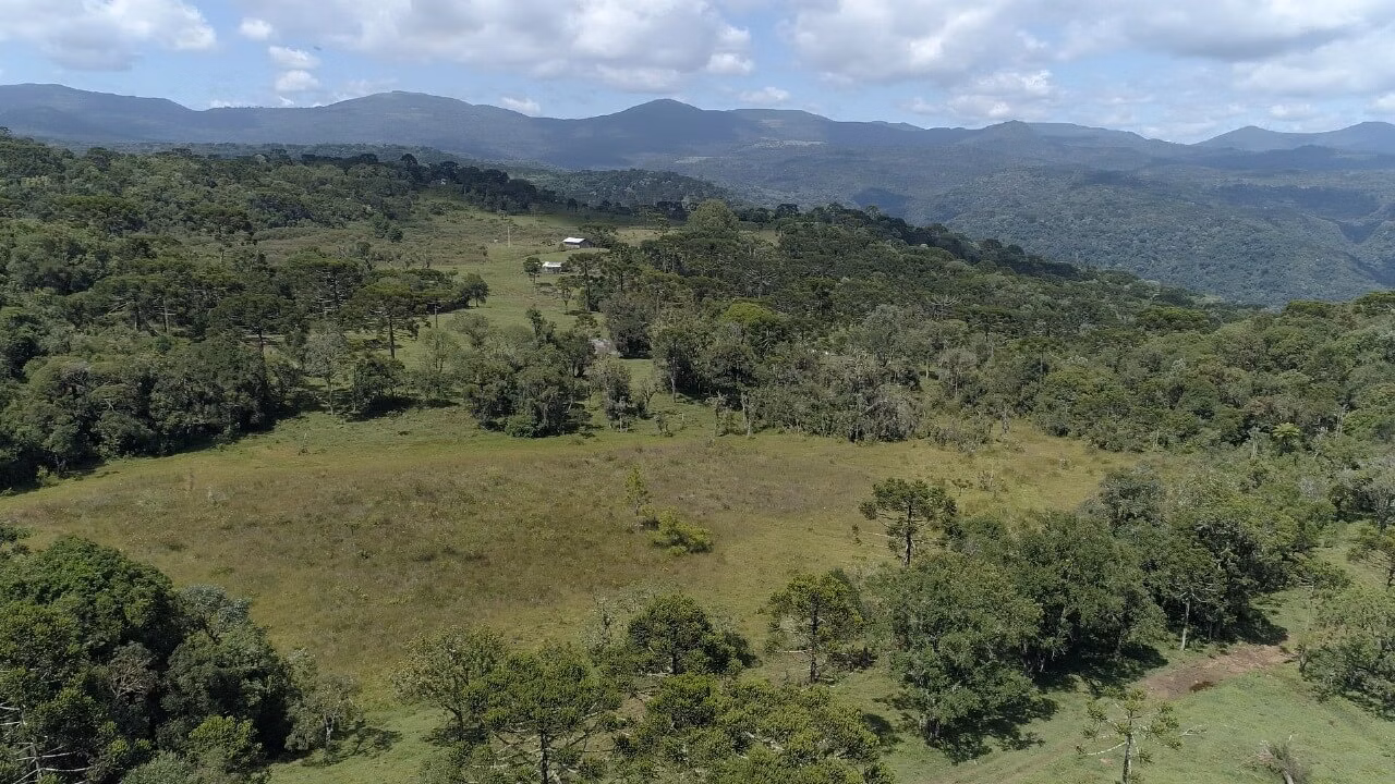 Small farm of 51 acres in Urubici, SC, Brazil