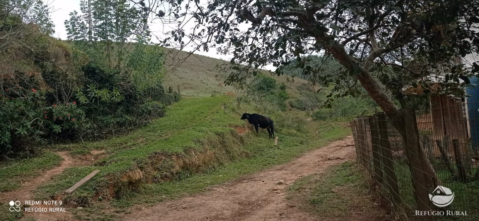 Fazenda de 249 ha em Igaratá, SP
