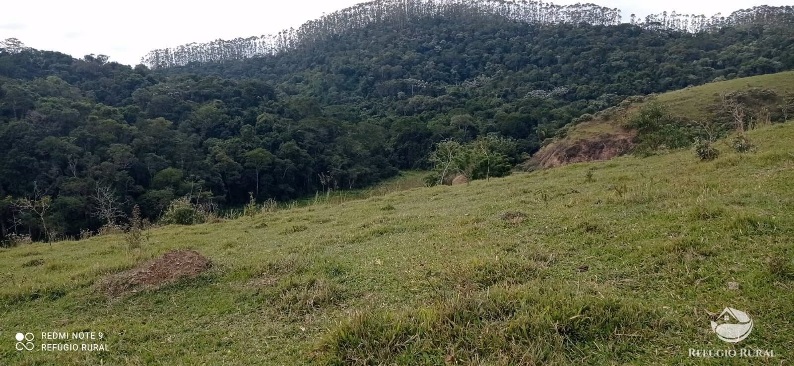 Fazenda de 249 ha em Igaratá, SP