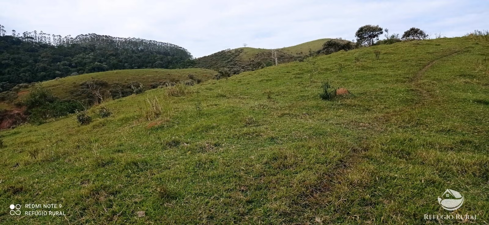 Fazenda de 249 ha em Igaratá, SP