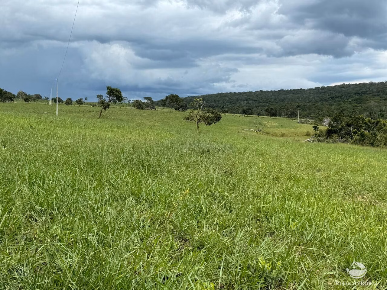 Fazenda de 1.936 ha em Tesouro, MT
