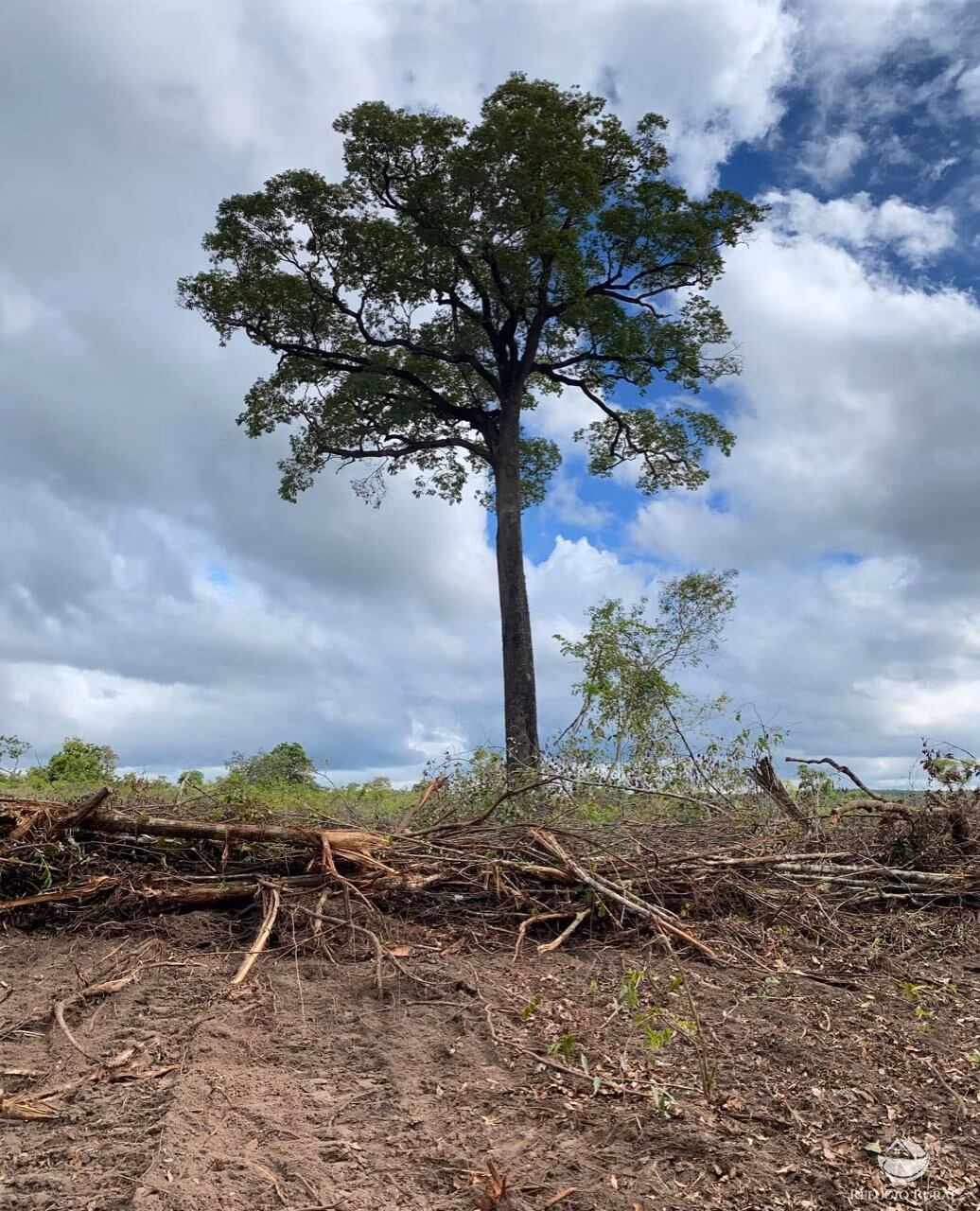 Fazenda de 1.936 ha em Tesouro, MT