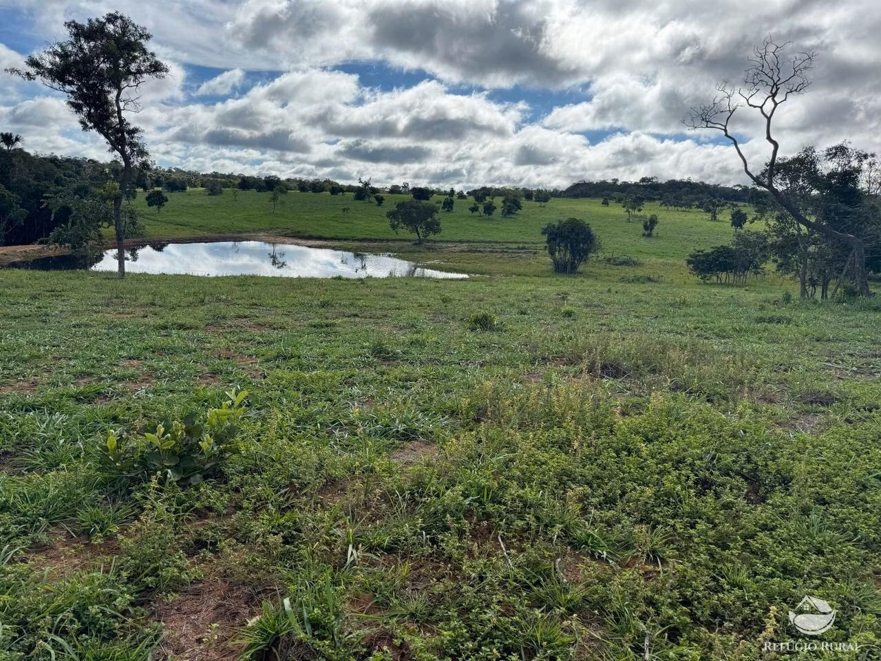 Fazenda de 1.936 ha em Tesouro, MT