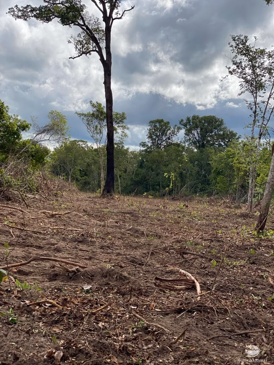 Fazenda de 1.936 ha em Tesouro, MT