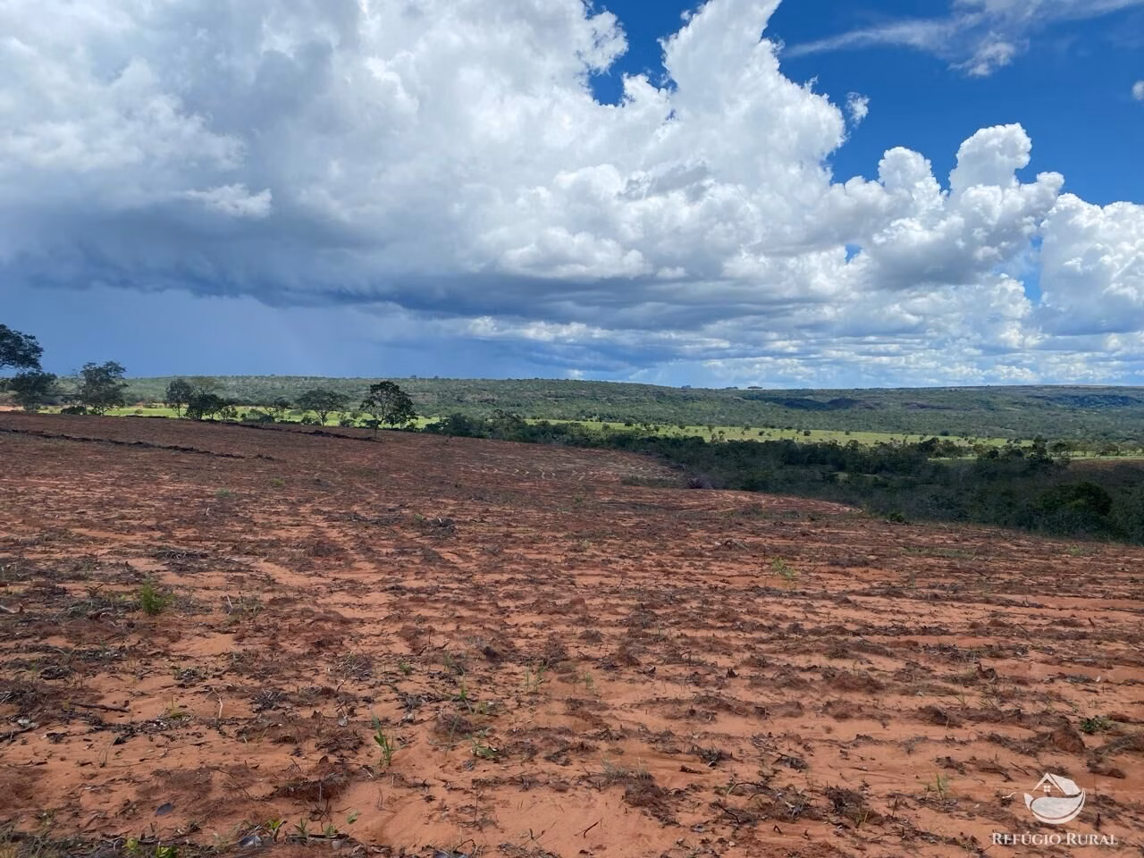 Fazenda de 1.936 ha em Tesouro, MT