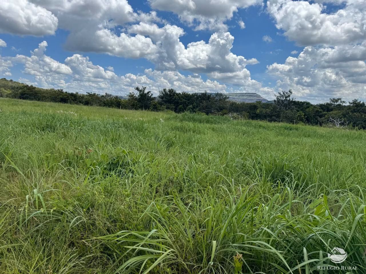 Fazenda de 1.936 ha em Tesouro, MT