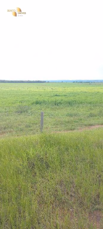 Fazenda de 1.510 ha em Nova Mutum, MT