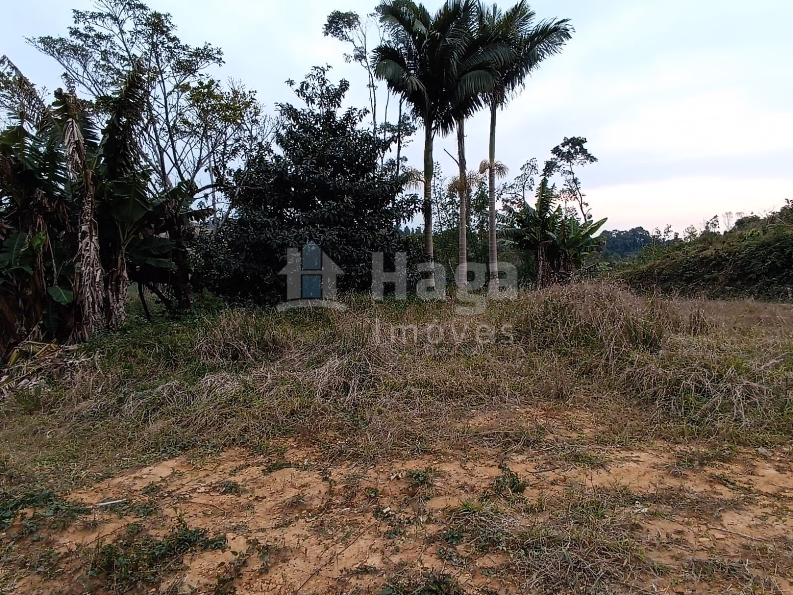 Terreno de 2 ha em Botuverá, SC