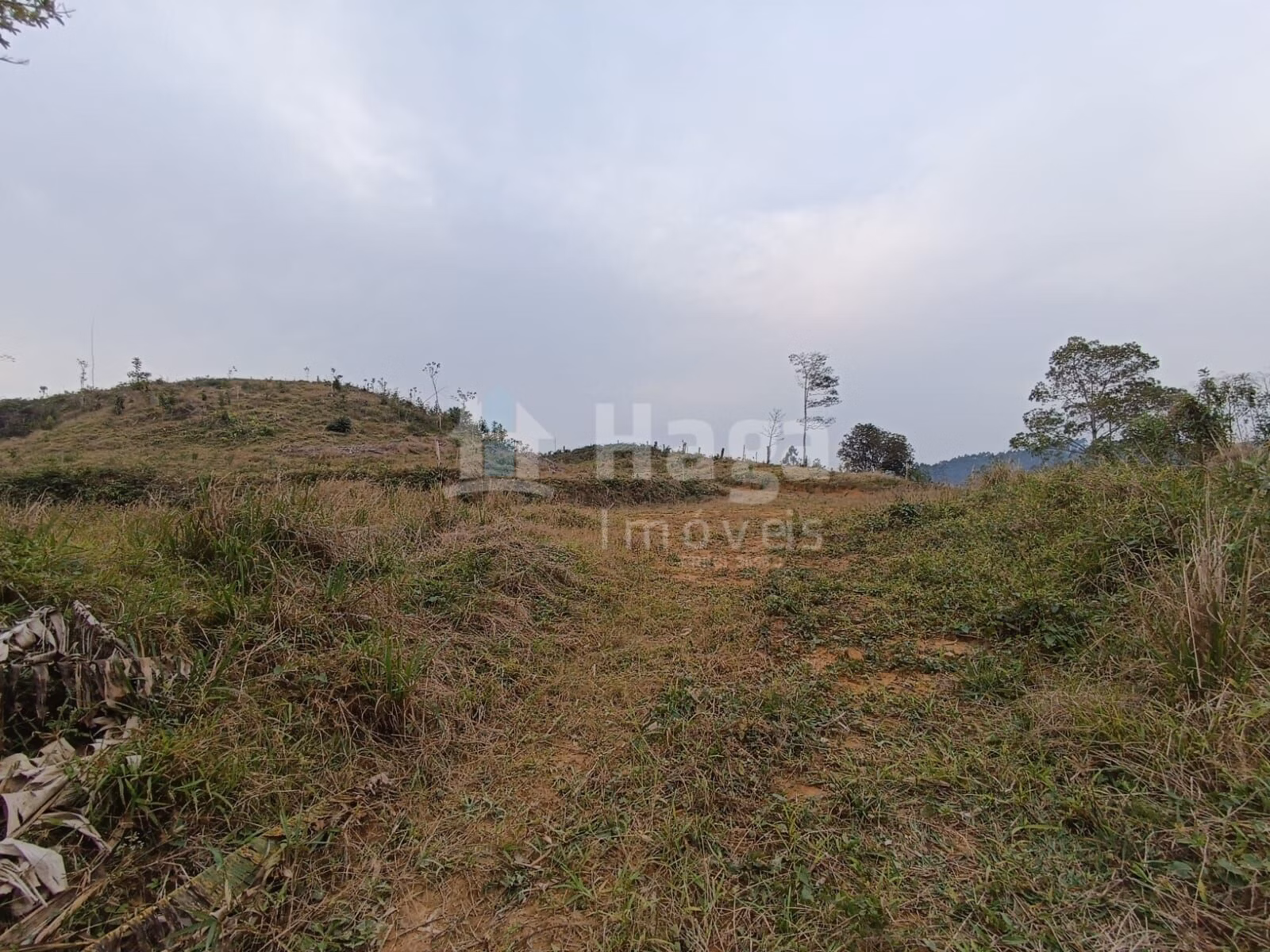 Terreno de 2 ha em Botuverá, SC