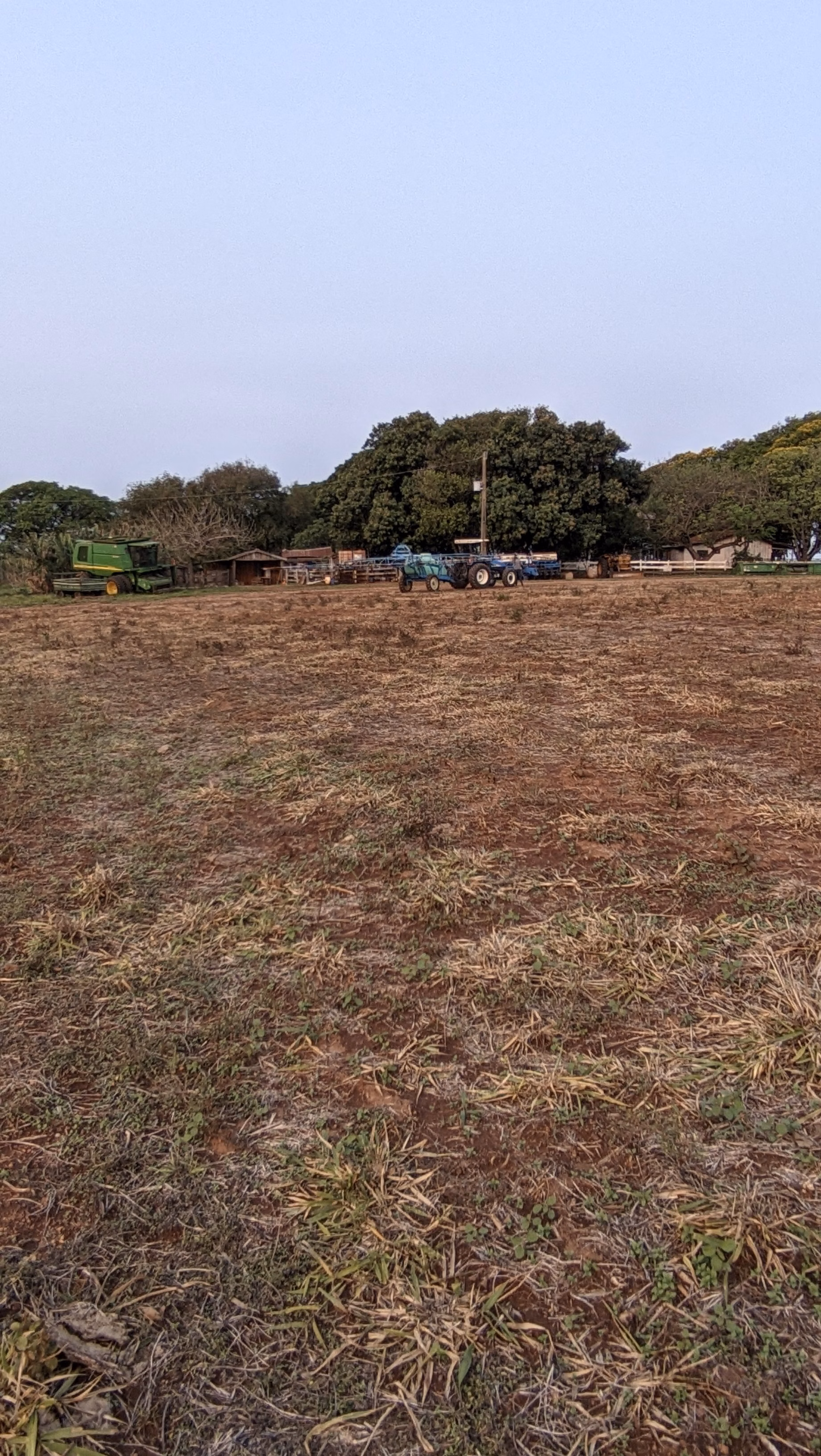 Fazenda à venda de 400 ha em Caracol, MS