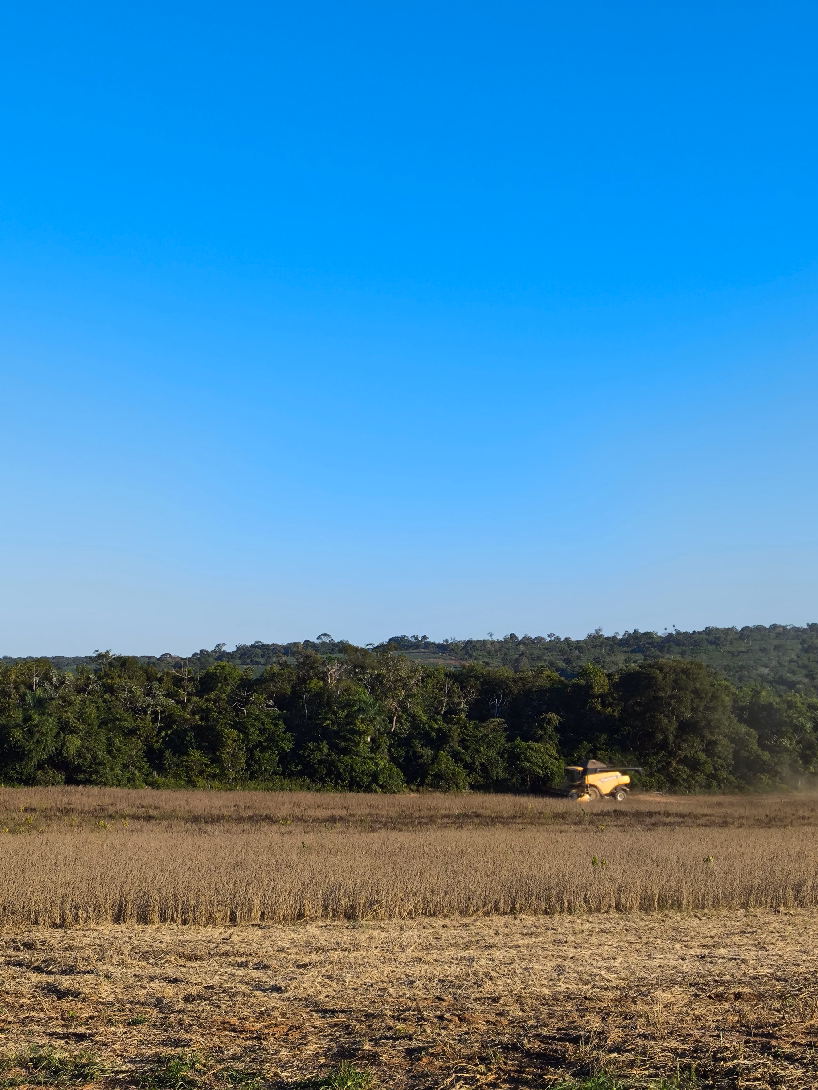 Fazenda à venda de 400 ha em Caracol, MS