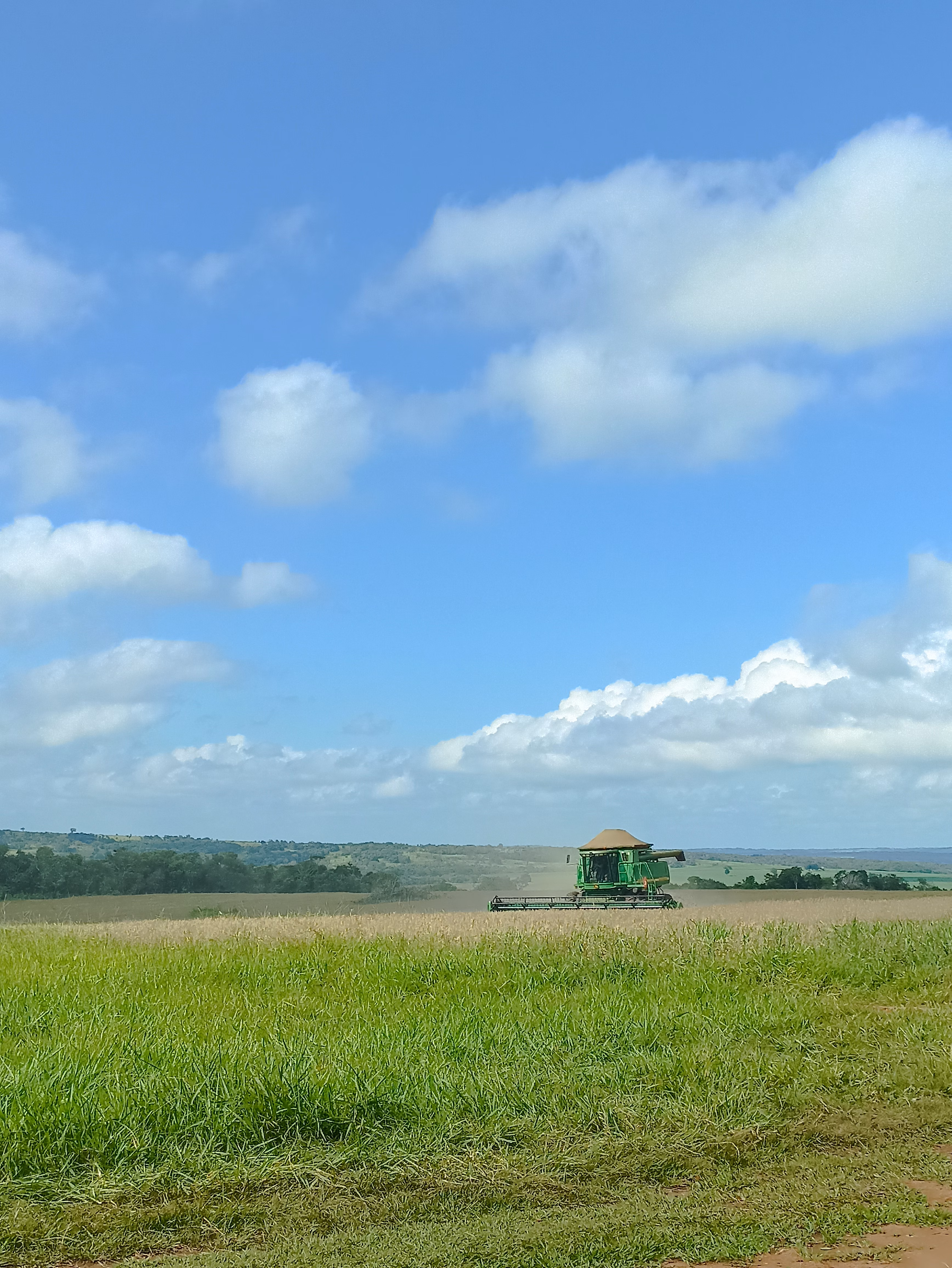 Fazenda à venda de 400 ha em Caracol, MS