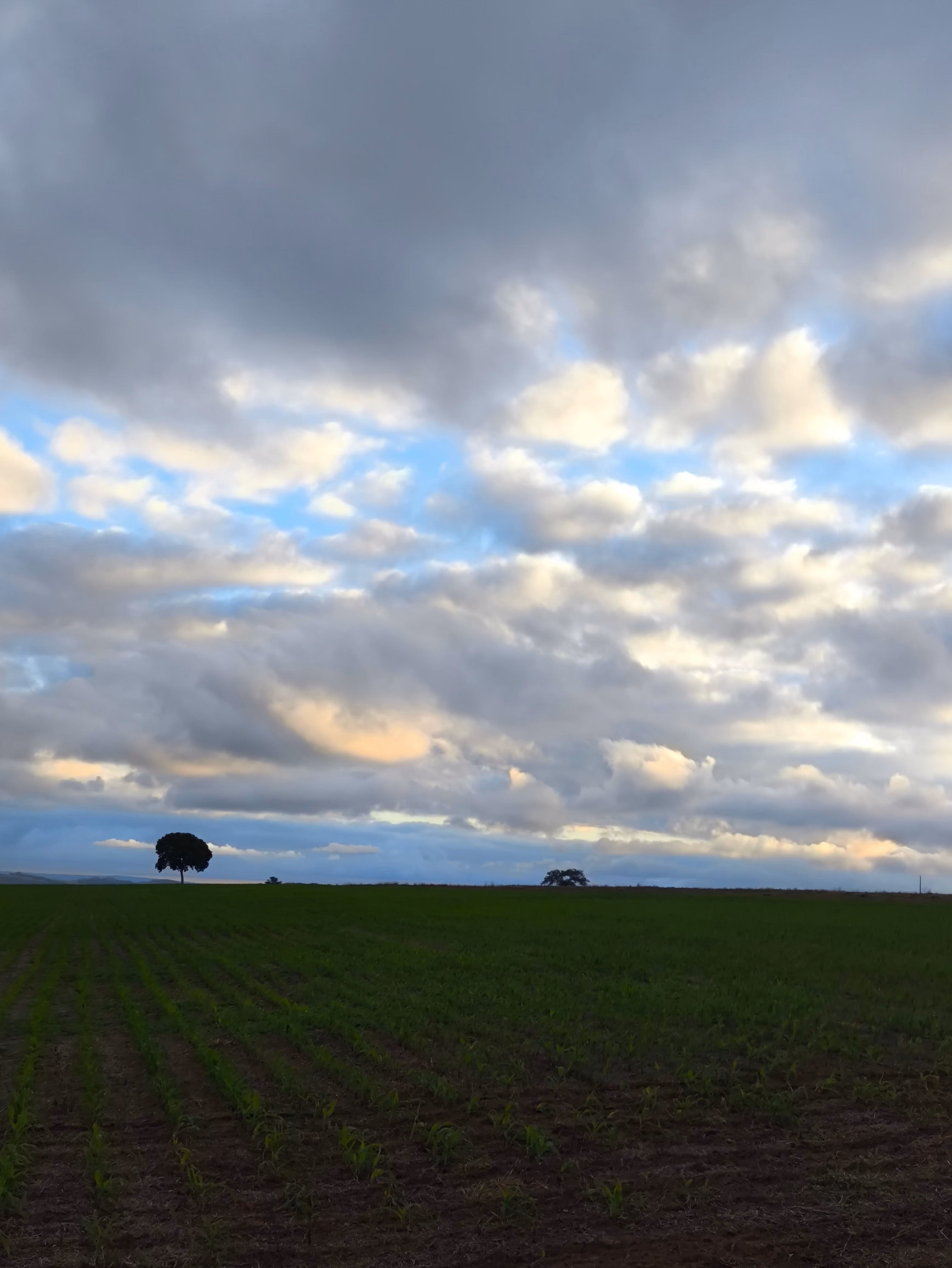 Fazenda à venda de 400 ha em Caracol, MS